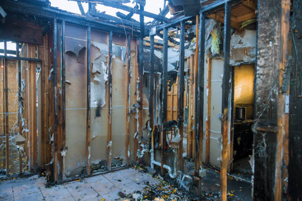 Professional Fire Damage Removal technician working in Grand Canyon Village, AZ
